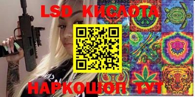 ешки Новодвинск