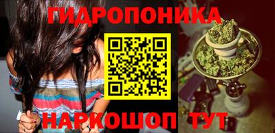 ешки Новодвинск