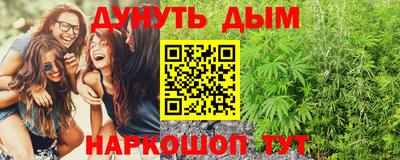 ешки Новодвинск