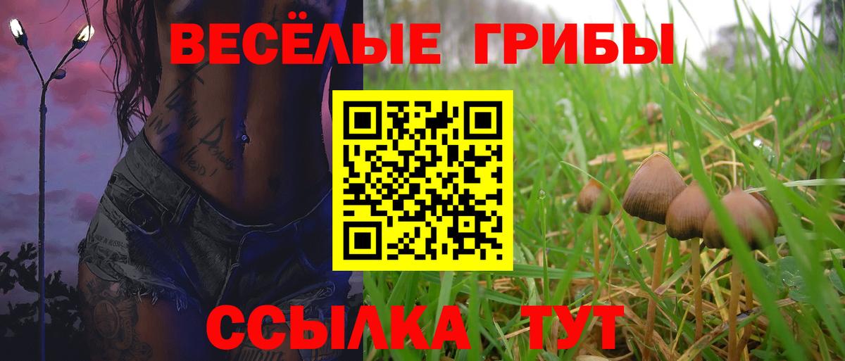 Галлюциногенные грибы Cubensis Бутурлиновка